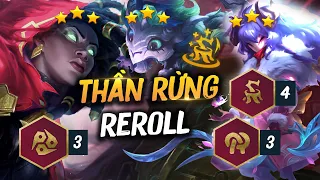 LEO RANK THẦN TỐC ĐẦU MÙA GIÁO ÁN THẦN RỪNG REROLL VỚI BỘ BA CHỦ LỰC 2 TIỀN GNAR - KINDRED - SENNA