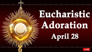 Powerful Eucharistic Adoration I Sunday April 28 2024 I 3.00 Pm
