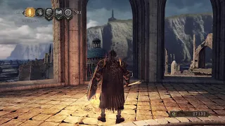 Dark Souls 2 despawning enemies before every boss