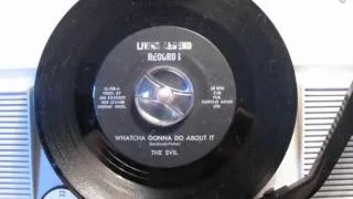 The Evil - Whatcha gonna do about it (60's FUZZ GARAGE ROCKER)