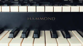 Hammond B-3X for Mac/PC - Next-level virtual organ