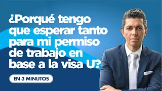 ¿Porqué tengo que esperar tanto para mi permiso de trabajo en base a la visa U?