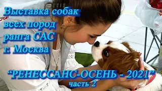 Москва. Октябрь 2021. ТРЦ "Чайна Таун". Выставка собак  "РЕНЕССАНС-ОСЕНЬ-2021" часть  2.