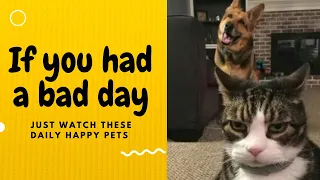 If you had a bad day, just watch these daily happy pets | Day 3