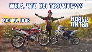 Wels, что вы творите? Новые питбайки и мотоцикл за 100к!!!