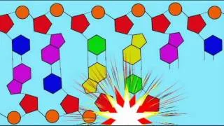 DNA POLYMERASE MOVES 5' TO 3'