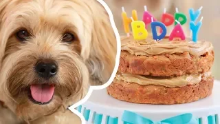 Gemma makes a Dog Birthday Cake for Waffles | Bigger Bolder Baking