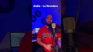 Andia - La Nevedere ( cover )