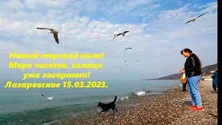 Загорают, новый морской волк  и чистое море! Лазаревское 15.03.2023. 🌴ЛАЗАРЕВСКОЕ СЕГОДНЯ🌴СОЧИ.