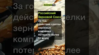 Россия вышла из зерновой сделки #сельскоехозяйство #экономика #россия #агро #зерно #агропром #урожай