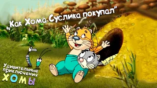 Удивительные приключения Хомы: Как Хома Суслика покупал