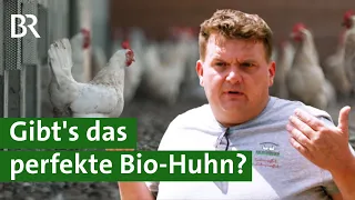 Hochleistungs-Legehennen: Die Suche nach dem perfekten Bio Huhn | Unser Land | BR