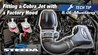 What You Need to Fit a NEW Ford Performance Cobra Jet Intake With Your Factory Hood
