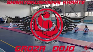 #shinkyokushinkai #groza #dojo #karate #экзамен 28 мая