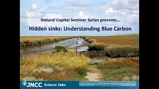 Hidden sinks: Understanding Blue Carbon