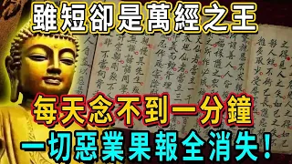 太神奇了！這本萬經之王，每天念不到一分鐘，頭上就會放出佛光，一切惡業果報全消失！| 佛談大小事