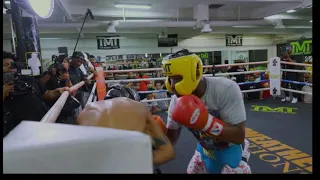 Floyd Mayweather Jr. vs Blueface Sparring Match 2023 HD