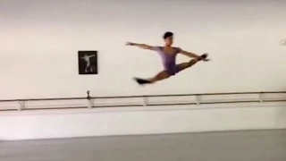 The Male Ballet Dancer (JORGE BARANI)