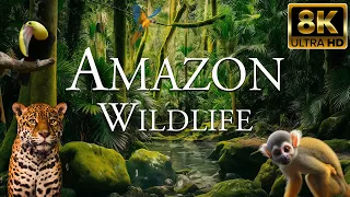 Amazon Wildlife 8K ULTRA HD | Wild Animals of Amazon Rainforest | Nature Relaxation Film