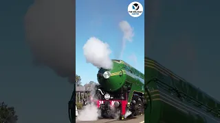 Steam Engine 3801 blows its whistle #shorts