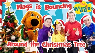 Wags is Bouncing Around the Christmas Tree 🎄 The Wiggles