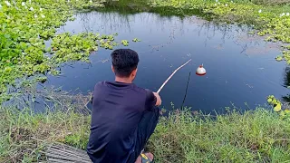 Fishing Video || Nice to see the incredible fishing scene of the village boy || Best hook fishin-fis