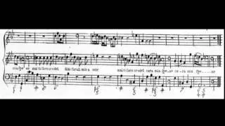 Tornami a vagheggiar (Alcina - Händel) Score Animation