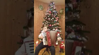 Tryumfy króla niebieskiego Maciek akordeon accordion