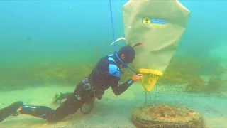 UNDERWATER Metal Detecting Found GOLD with FreeinSUP
