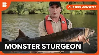 Chasing Giant Sturgeon in Canada - Chasing Monsters - S02 EP1 - Nature & Adventure Documentary