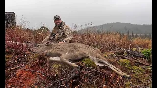2023 Alaska Brown Bear and Blacktail Deer Hunt (Part 1 of 2)