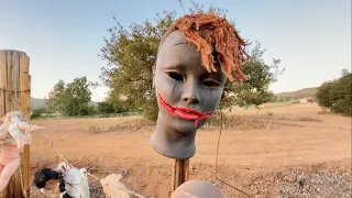 A Disturbing Discovery: Spooky Dolls Hanging on a Roadside Fence