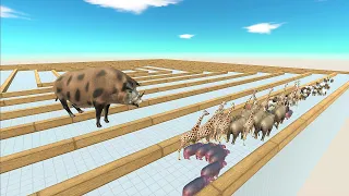 Animal Overtaking. If a wild boar overtakes you, you're out! | Animal Revolt Battle Simulator