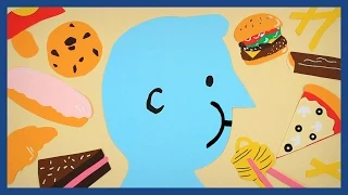 Why are we all getting fat? | Guardian Animations