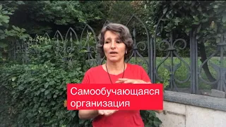 Самообучающаяся организация