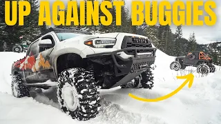 IFS Tacoma Snow Wheeling With Dirt Lifestyle Buggies - Can it hang?