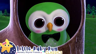 A Wise Old Owl | Little Baby Bum Animal Club | Fun Songs for Kids