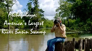 Atchafalaya: America’s Largest River Basin Swamp
