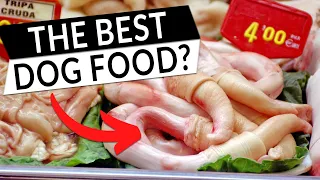 The 3 Best Organ Meats To Feed Your Dog!