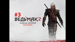 The Witcher 2 Assassins of Kings Enhanced Edition #3