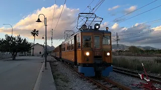 Cruce en Son Sardina entre el tren de Sóller en dirección a Palma y un M1 hacia la UIB.