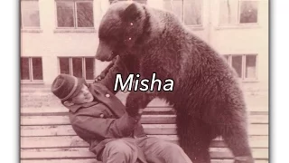 *ASMR*** Misha The Bear***Family album*