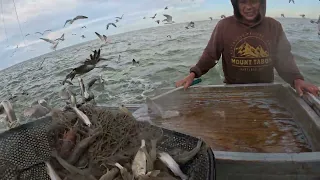 South Texas Fishing #6 Tôm Nam Texas