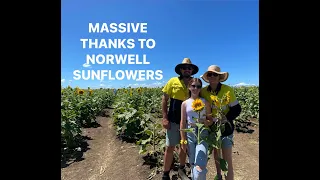 Sunflower Cover Song performed by Denyella-Sophia at the Norwell Sunflower event March 2023