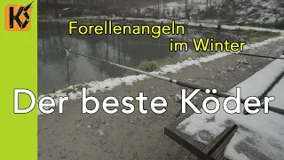 Forellenangeln im Winter - Der beste Winterköder - Naturköder bringen Erfolg