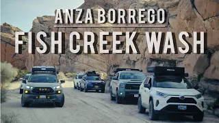 Fish Creek wash.Anza Borrego