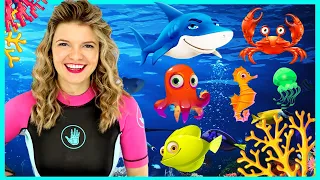 Sea Animals for Kids | Sea Creatures for Kids | Learn Sea Animals for Children with Speedie DiDi