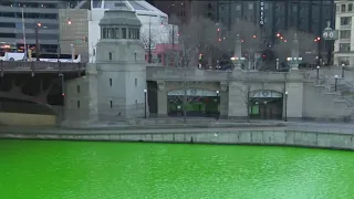 St. Patrick's Day celebrations continue in Chicago