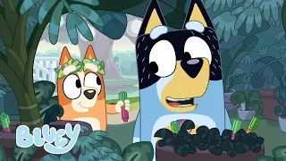 Le printemps avec Bluey | Bluey Français Chaîne Officielle