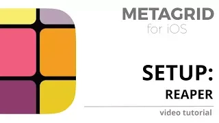 Metagrid Classic - Setup: Reaper
